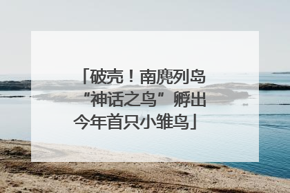 破壳！南麂列岛“神话之鸟”孵出今年首只小雏鸟